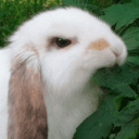 8ec42e3594c7cc50f3188bb9ddc59826