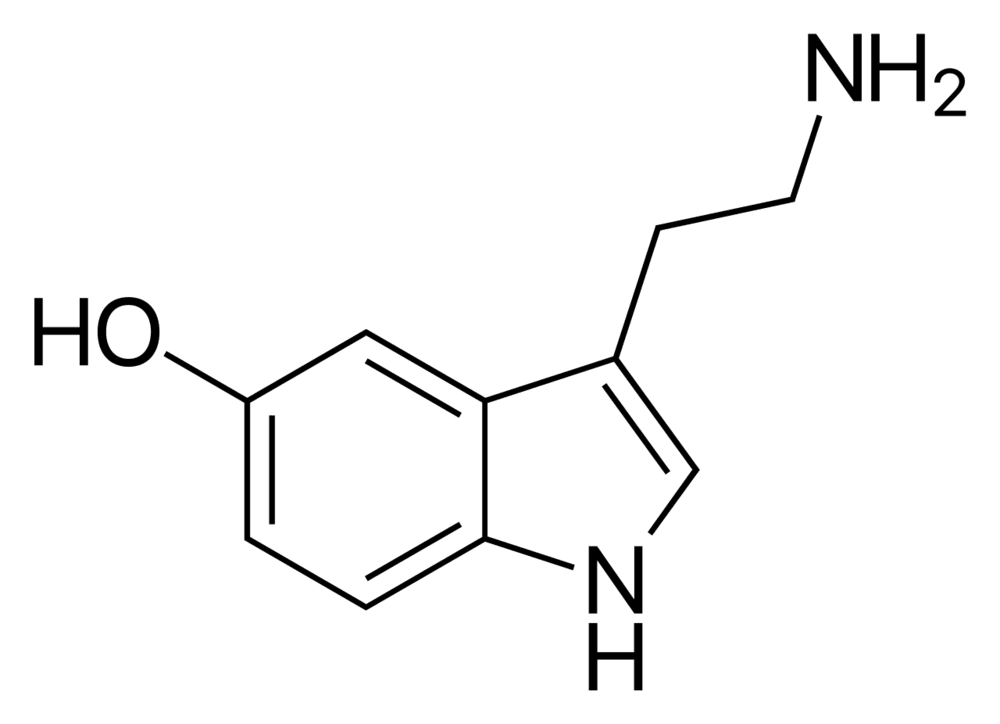 1580138722060