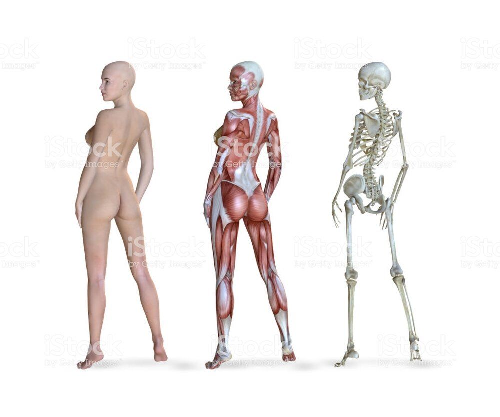 Istockphoto 691483508 1024x1024