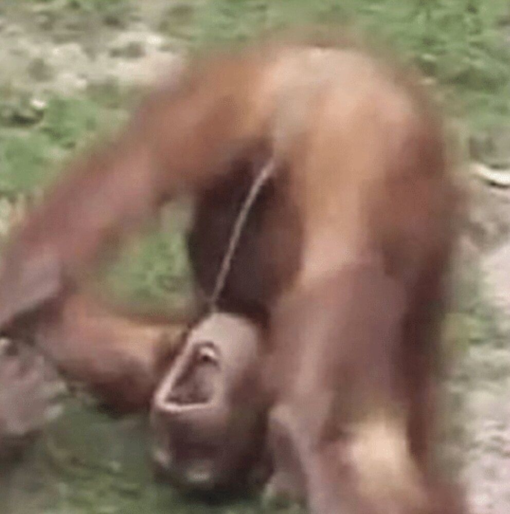 SmartSelect 20200101 131221 Firefox