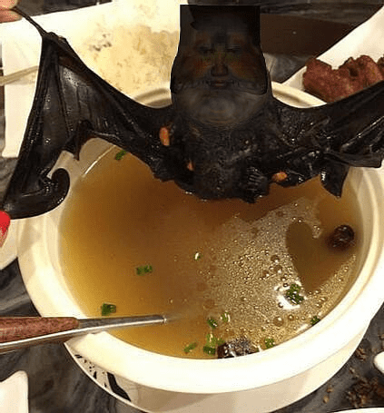 Fatslavicbatlossusinsoup