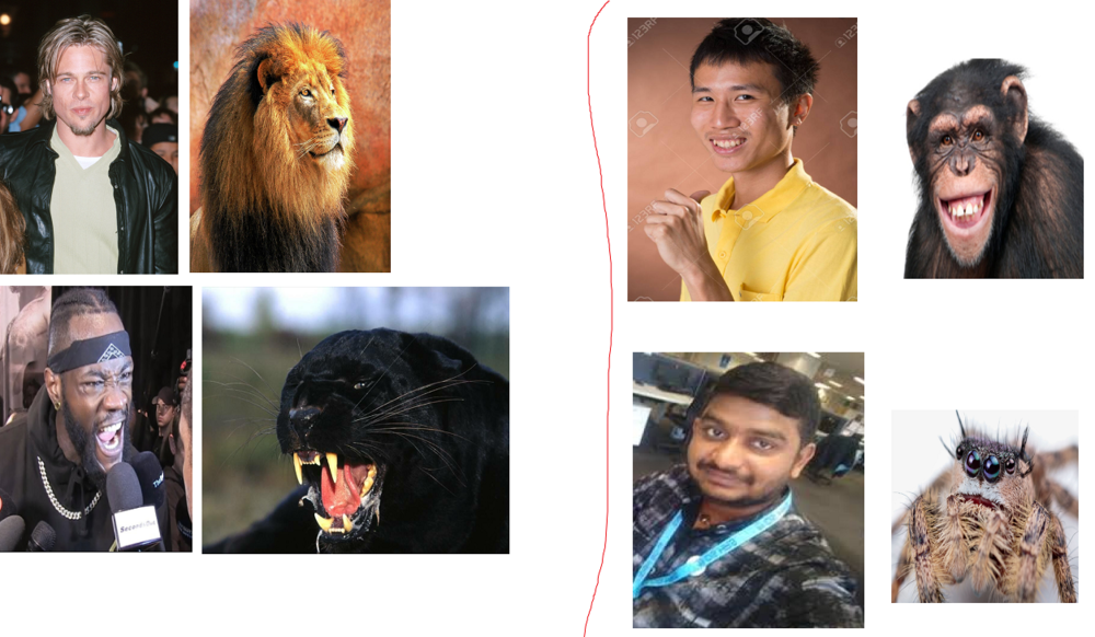 83411055 527880218084449 2047695099399241728 n