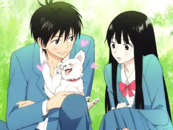 005AC2CF 232B 45FC B62C B428C7155D83