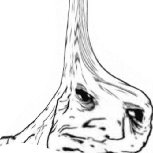 5C8CD84D 642B 4776 A156 1D6A4FD93BD9