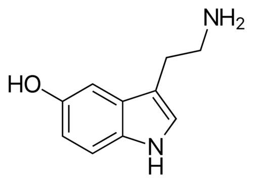 1580138725250.png