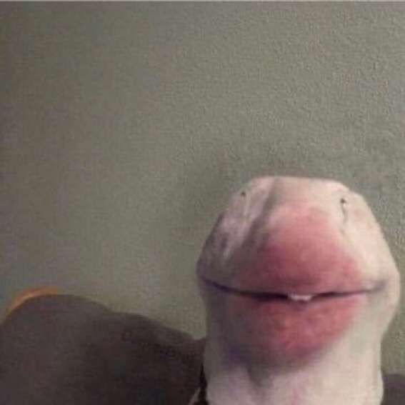 1D157AF5 A014 408B BCC5 F4B1FBA5516B