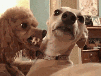 26547DA3 FCAD 4C4B 9F6C AC4A4629B475