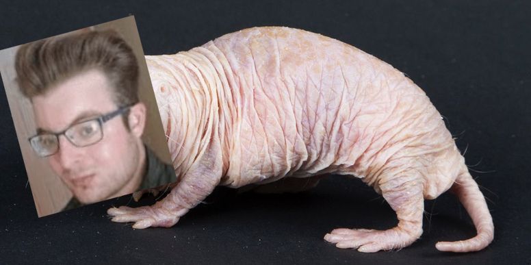 86725CD6 8020 469F AC7E D32793226C9C