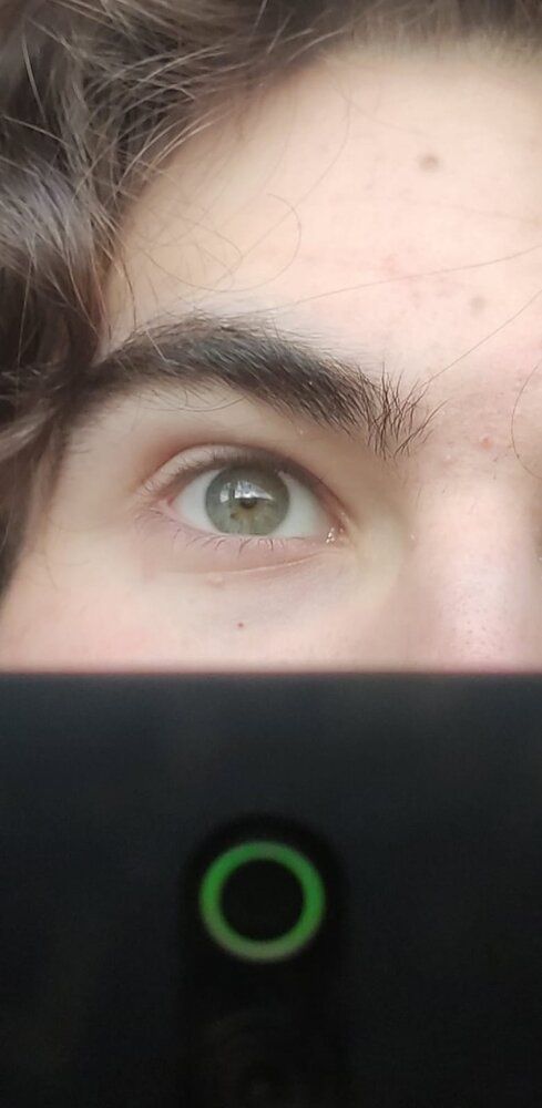 Groen3