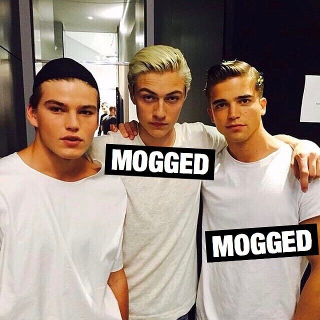 GigaMoggerBarrett