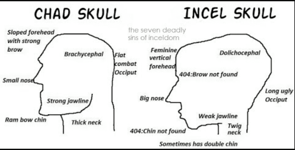 FEEF1BA2 CEE9 45F3 97A1 39933F38C5BB