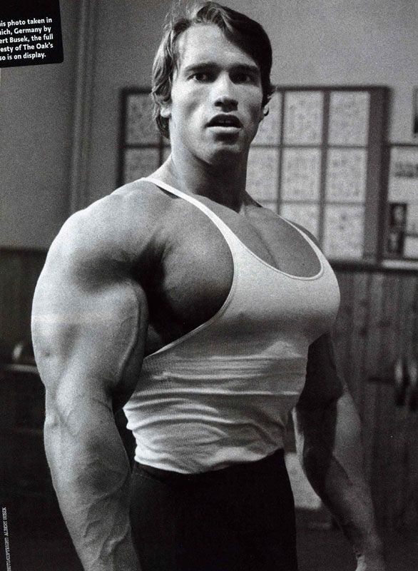 Arnold Schwarzenegger Massive Chest