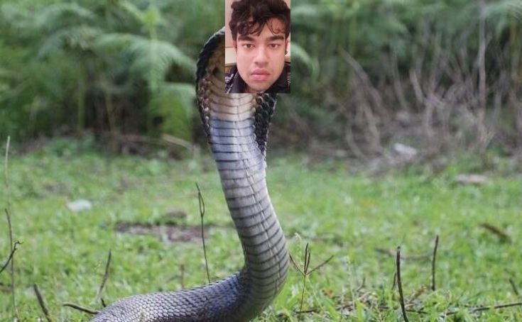 C70303D4 D9F8 4FC5 9674 EFFA5A37FB27