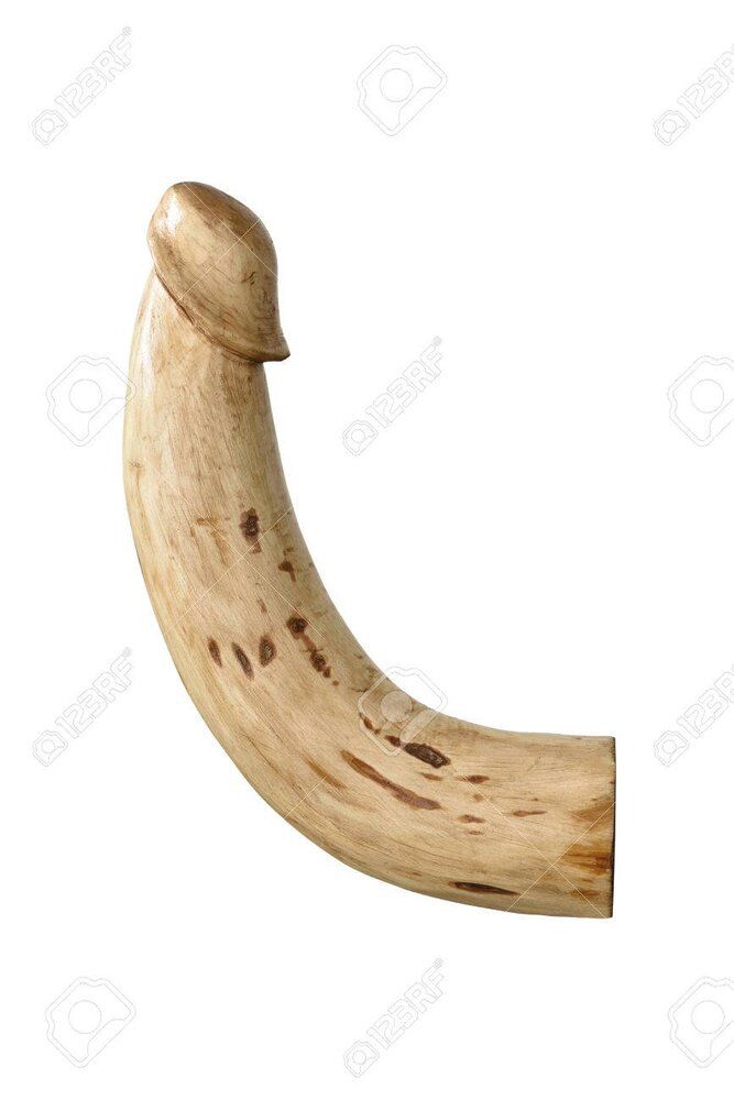 42022436 wood dick on white background 18 