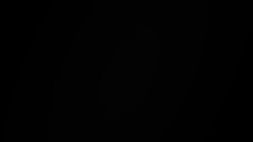 Black radial gradient 6b237e4d 01