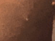 1581909855089