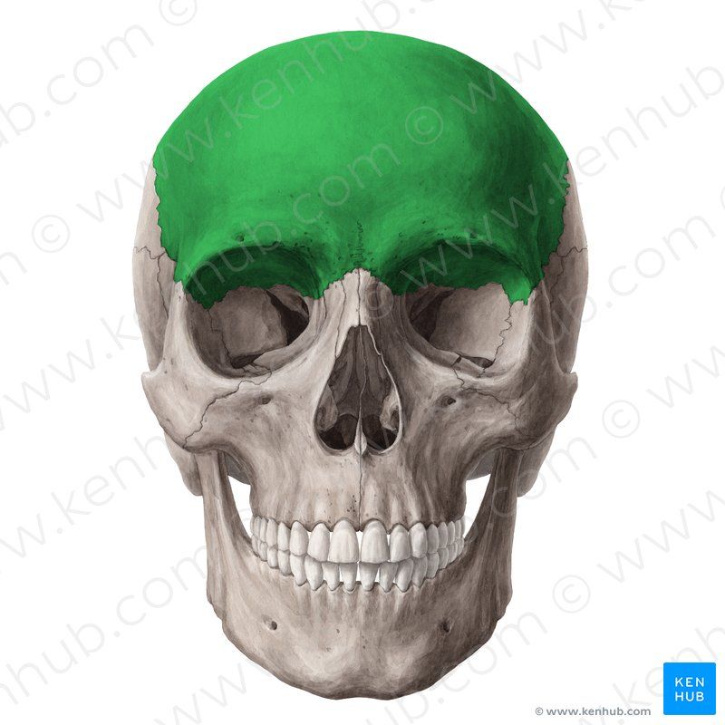 CCAC6861 4AA2 42C6 BDFF 384F4556711C