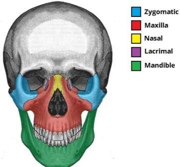 DC10C575 4AC8 4BD4 A8FB 9F0C44048176