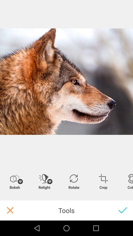 Screenshot 20200218 015459