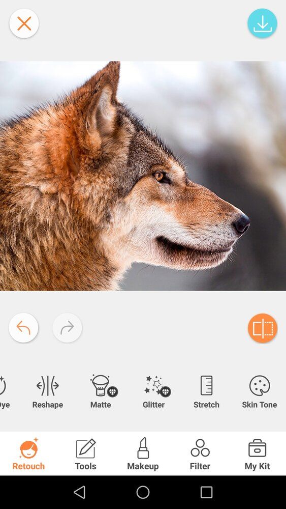 Screenshot 20200218 015945
