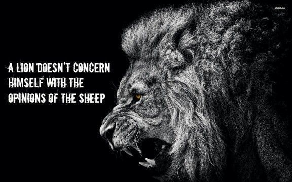 Lion