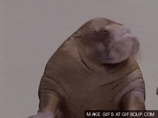Giphy 10