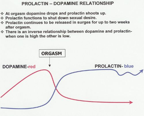 Prolactin