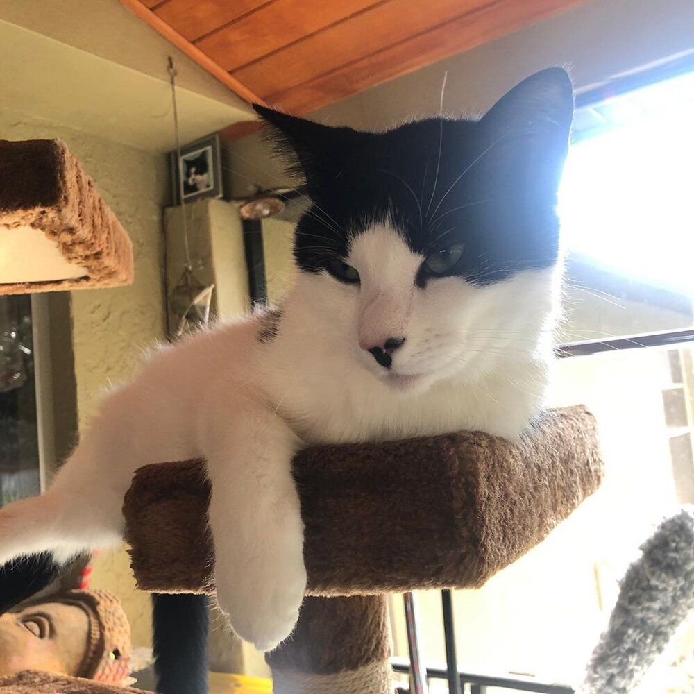 83724323 240901570240768 5089104559864791276 n