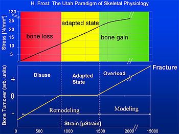 UtahParadigm 1
