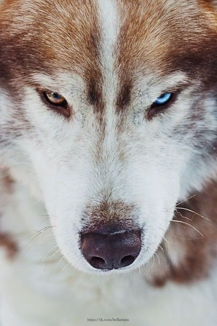 A600E3FA 60C9 4546 A308 ADC2C8E40494