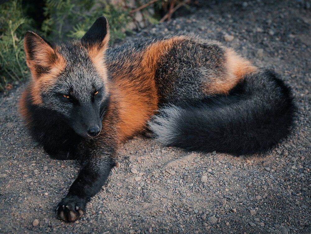 3E1739D2 AAAC 479F A384 00E1A9C71785