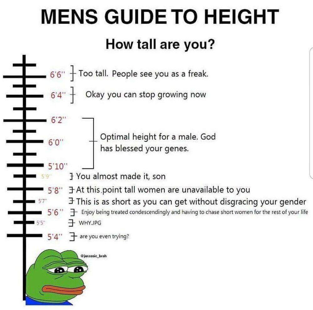 8da4mjly3ii41