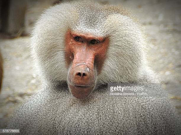 Gettyimages 578776655 612x612