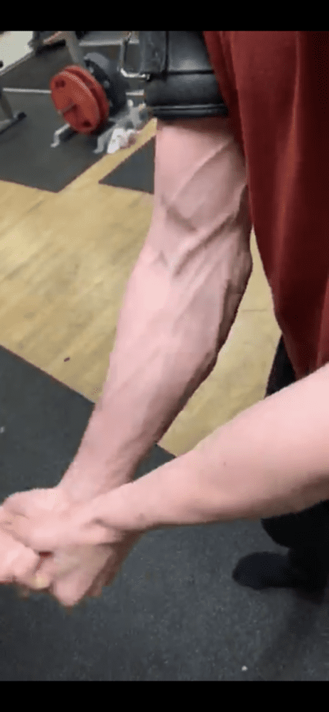 6ECB7AFD 33F8 4A59 9BE1 129A273BAF45