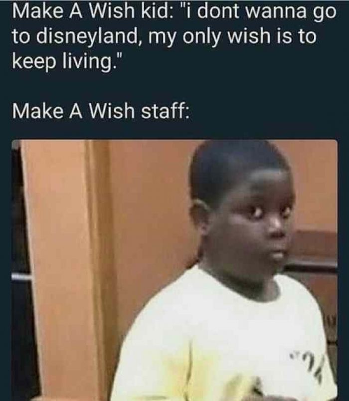 L 8408 make a wish kid
