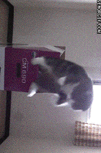 Ezgif 5 91ada932c7fb