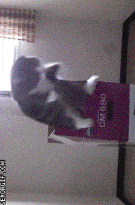 Ezgif 5 bdea4cefa2d7