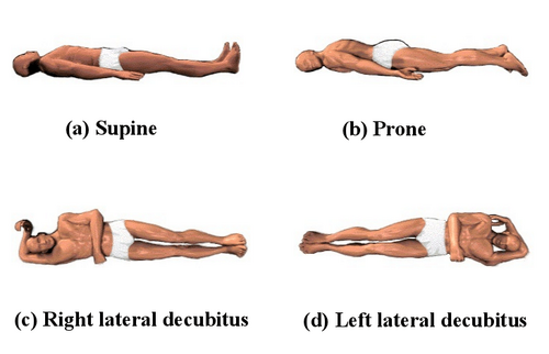The-four-basic-sleeping-positions-image-source-at-wwwparamedicinecom.png