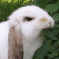 3334