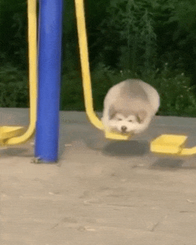 Giphy 6