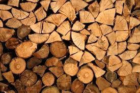 Slikovni rezultat za wood