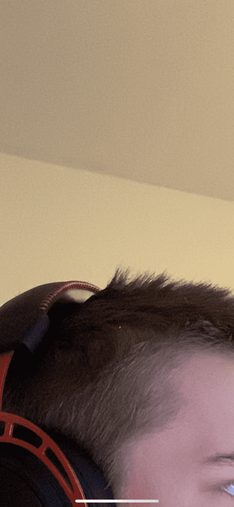 30515FAD C20E 4026 BE5A FEFA338765DD