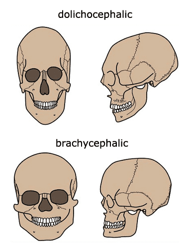 1583434401694