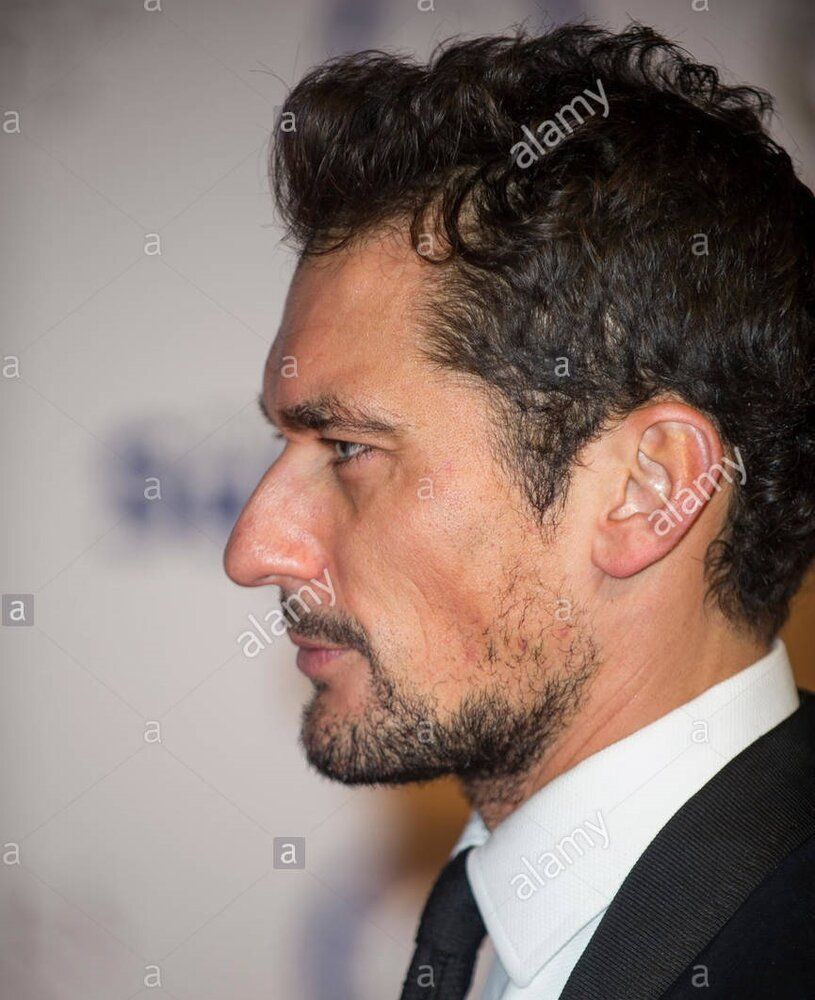 London uk 3rd november 2016 david gandy attends battersea dogs and H7B621