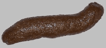 72d3dc04