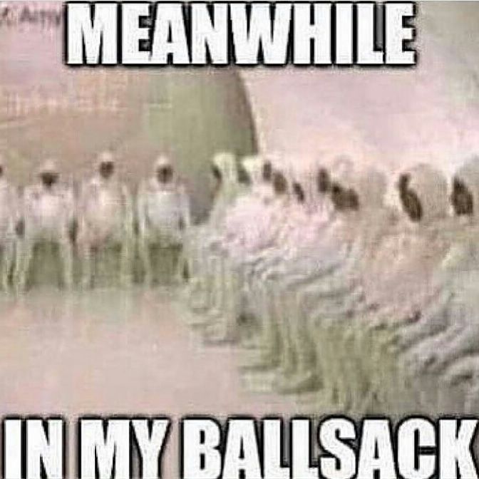 Meanwhile