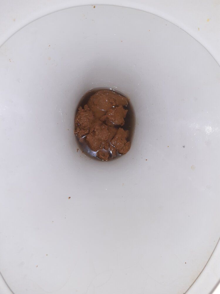 20200311 091414