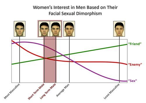 500px Facial sexual dimorphism