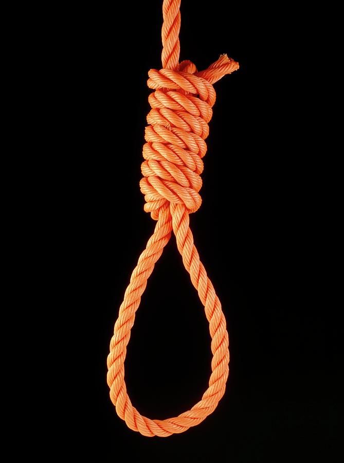 Knots a hangmans noose adam hart davisscience photo library