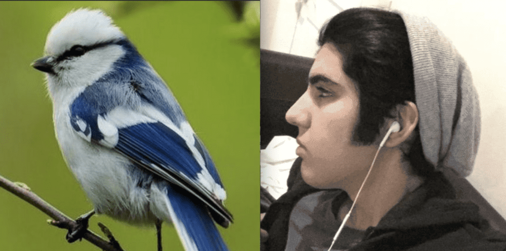 Screen Shot 2020 03 13 at 42110 PM